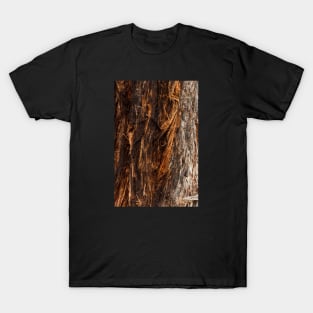 Fire Red String Bark Burnt Tree Trunk - Alternative T-Shirt